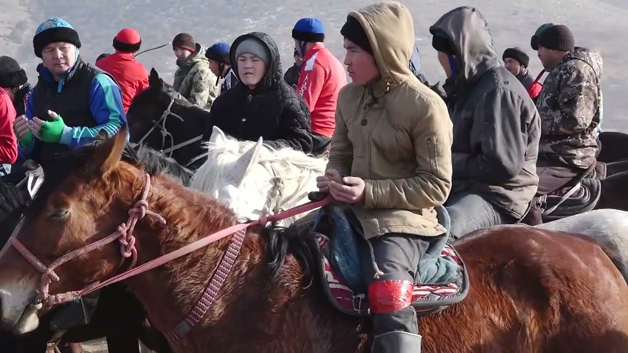 Түлкібас ауданы  Даубаба ауылы  бата алу Көкпары  11 01 26 ж