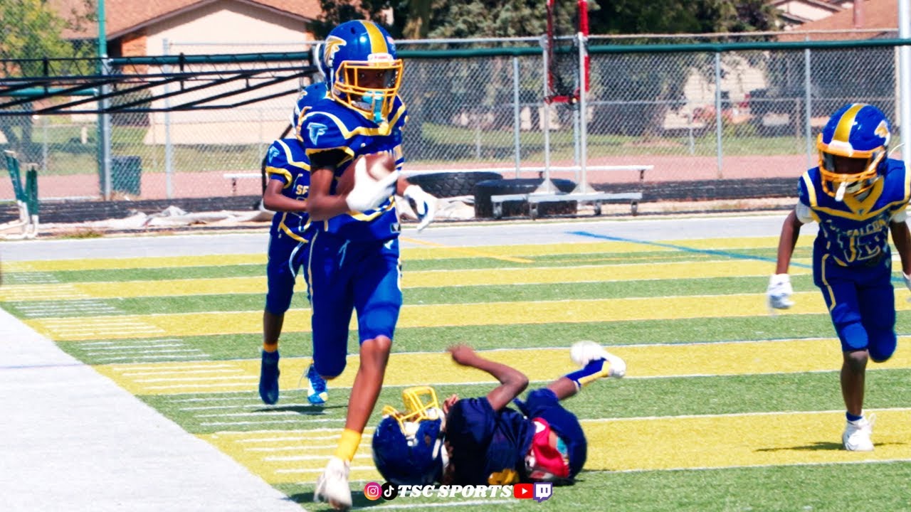 Southfield Falcons (MI) vs Sharks (OH) | 10U Youth Football