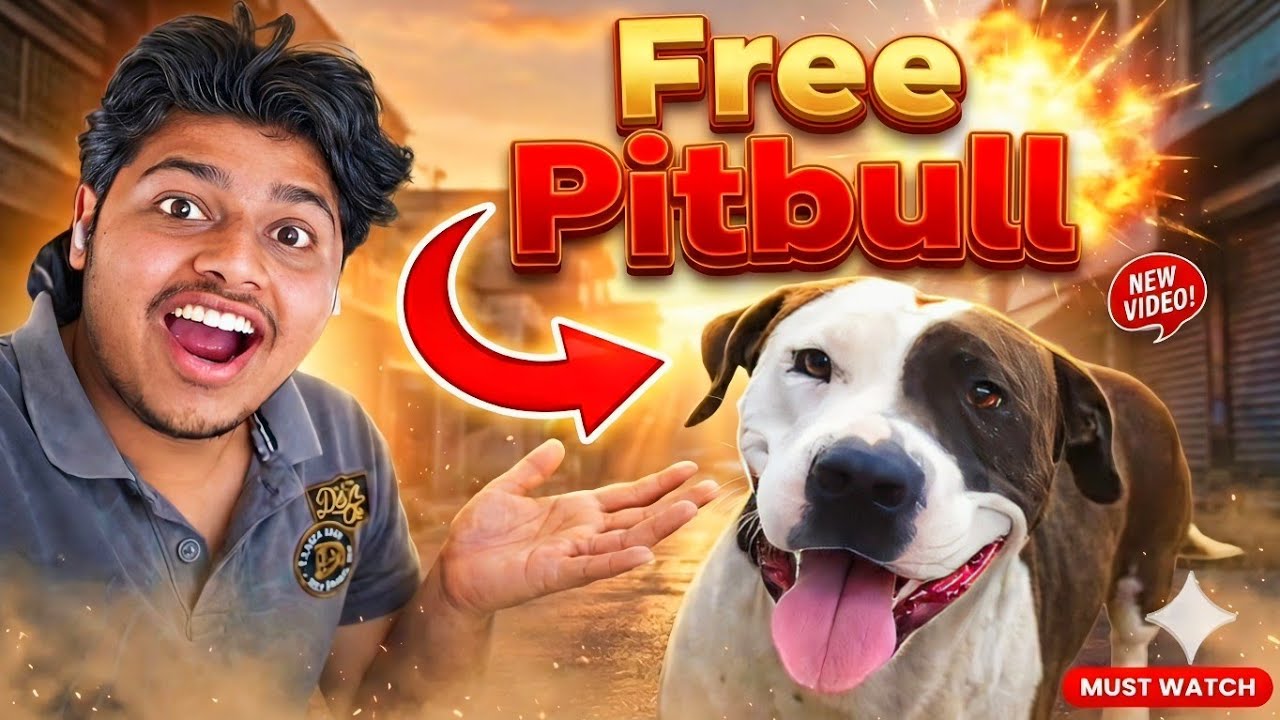 Gali Me Achanak Mila PITBULL! 😱 Kiska Kutta Hai Ye? | Canadian Nikku 🍁
