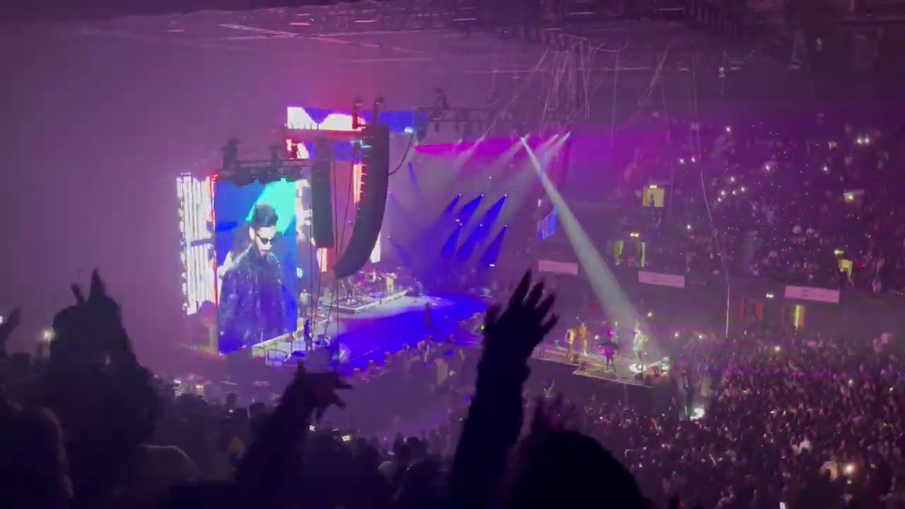 Selfie Pulla - Anirudh Concert (OVO Wembley - London 2022)