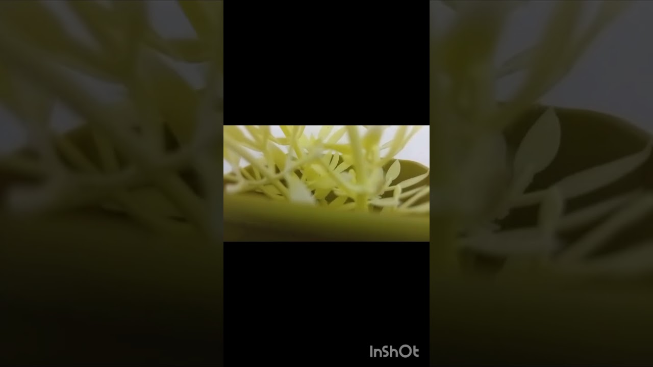 جرج غرين عبقرية عصامية