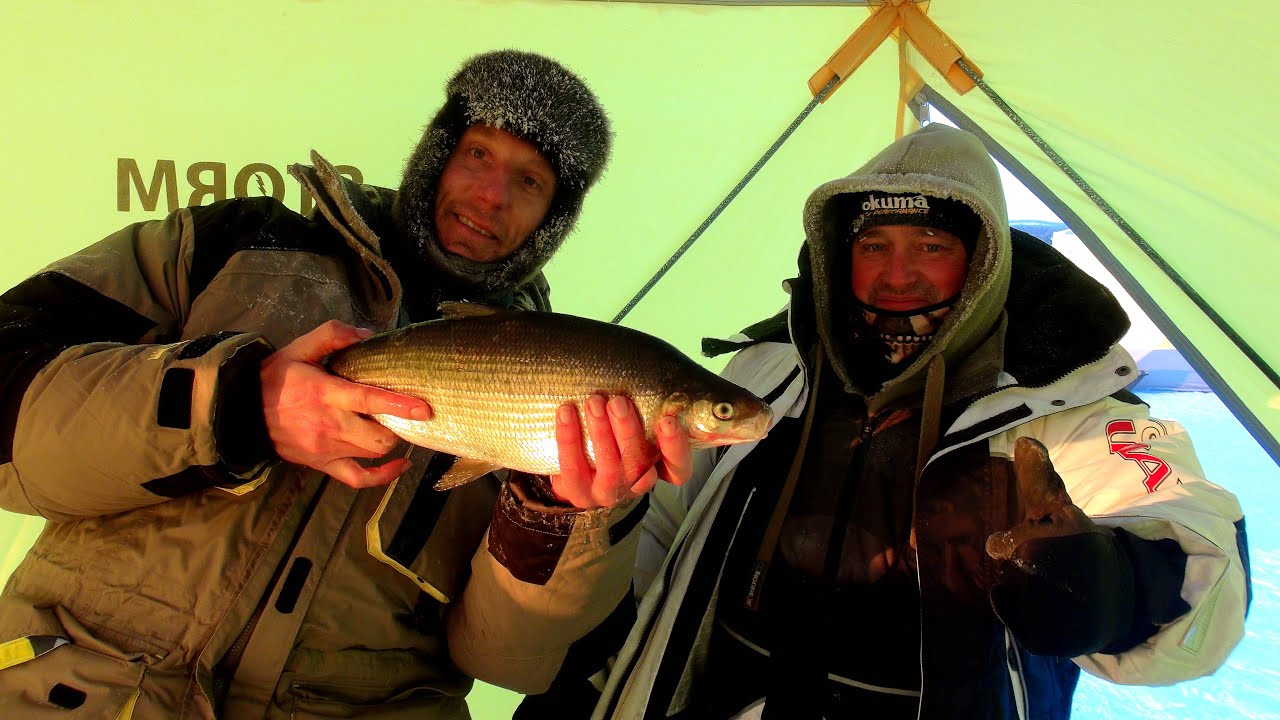 Apie žūklę 2016 02 06. Trofėjinio syko beieškant.