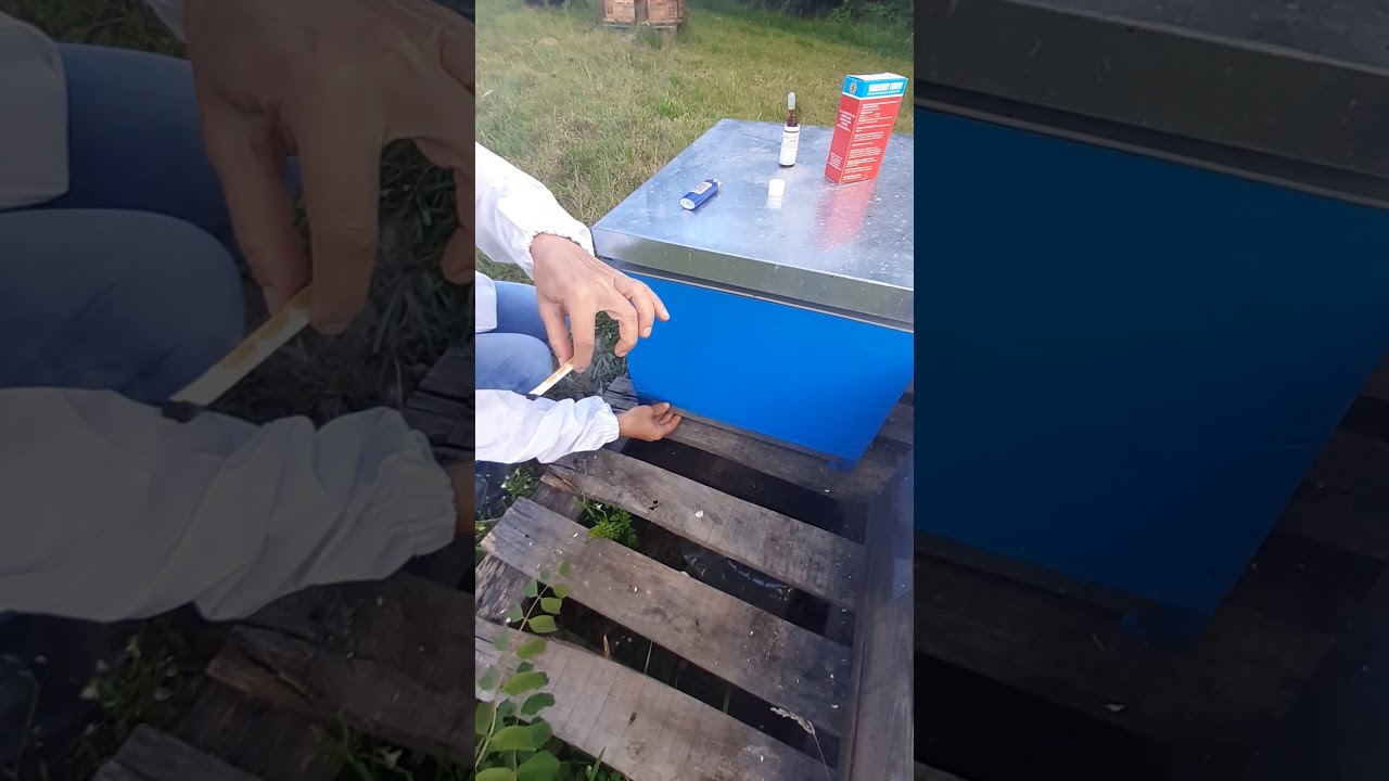 Varachet Forte - Trattamento per anti-varroa