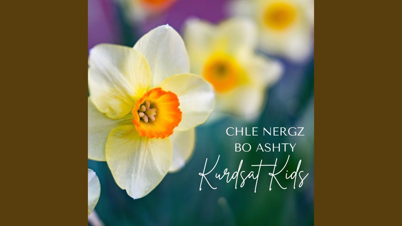 Chle Nergz Bo Ashty