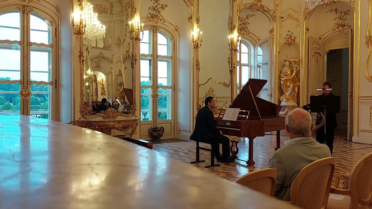 Beethoven Horn sonata in F major, op.17. - natural horn