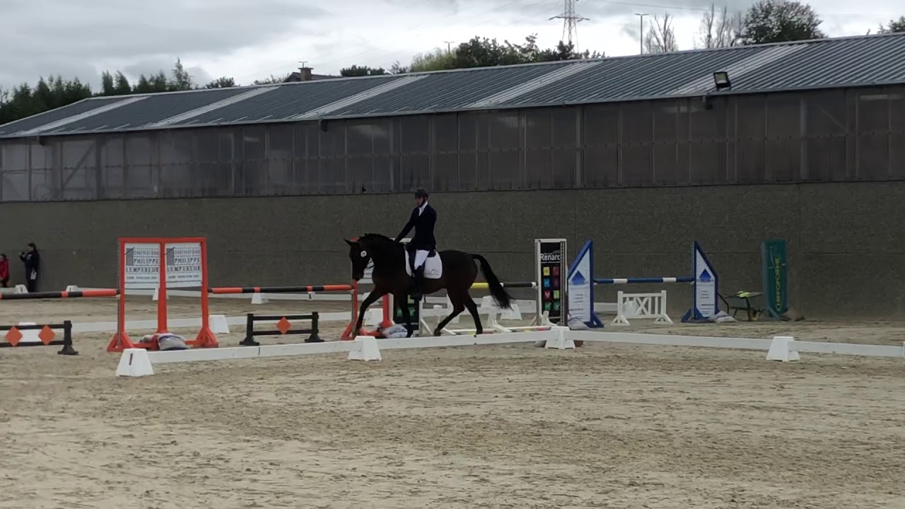 Reprise 1.6, Écuries Lempereur le 29/09/19, Fiderwind