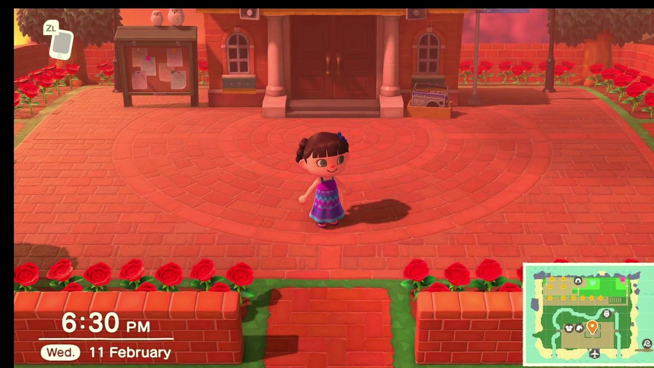 Animal Crossing New Horizons live