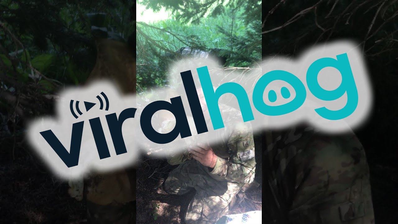 Hombre encuentra un hongo que rompe r&eacute;cords || ViralHog