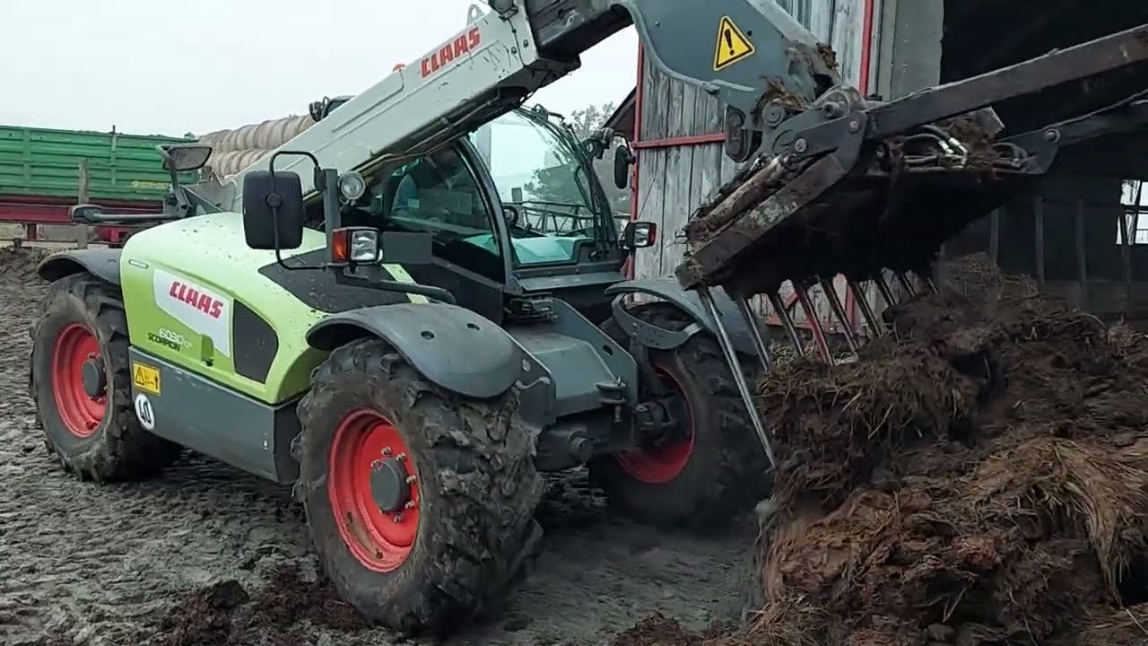 Claas Scorpion 6030 w Akcji , zrywam Parkiet u Limousine