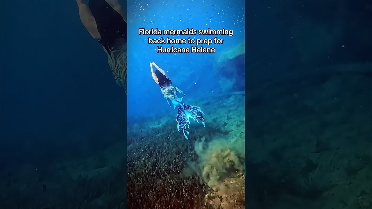 Mermaids are bracing for Hurricane Helene - Stay safe Florida! 