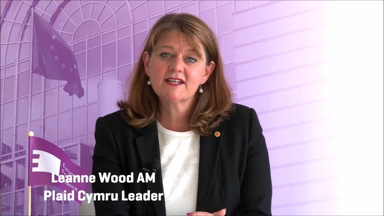 Plaid Cymru Leader Leanne Wood talks to #EFATV