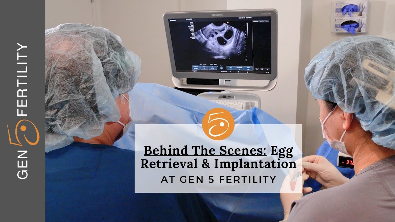 Egg Retrieval and Embryo Transfer | Behind The Scenes at Gen 5 Fertility