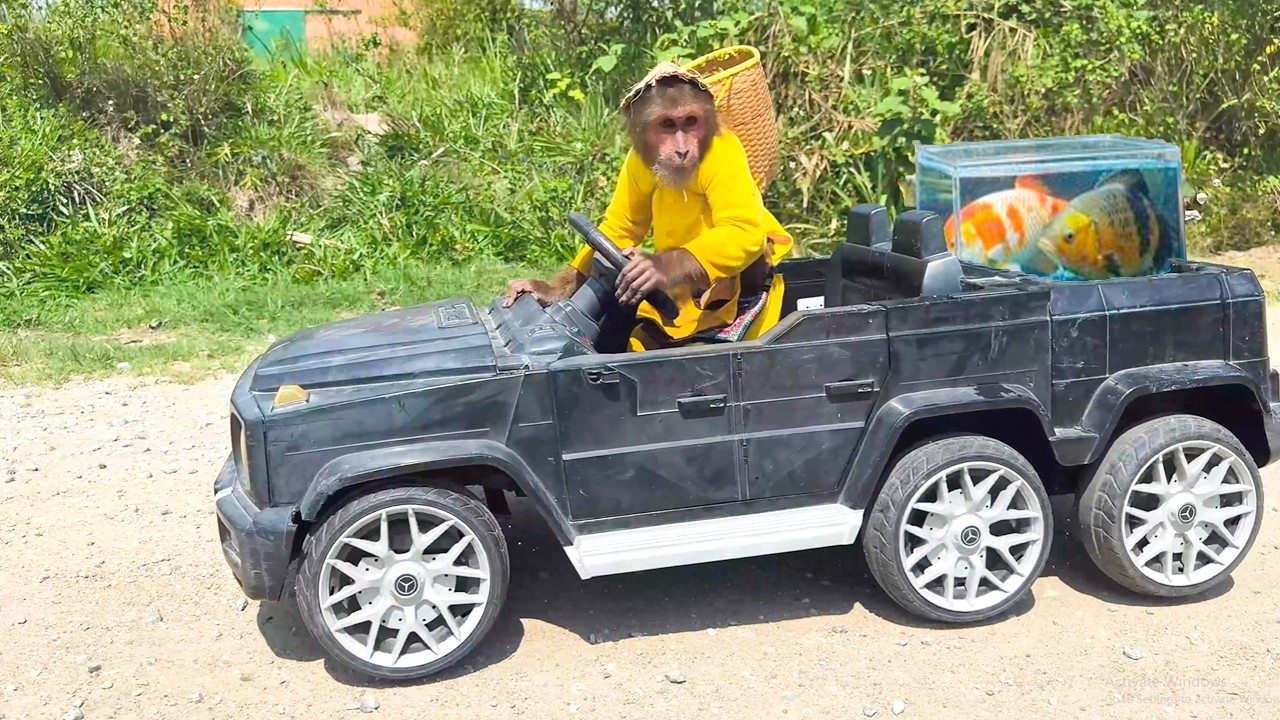 Too Funny! CUTIS Drives a Supercar Just to Go Fishing