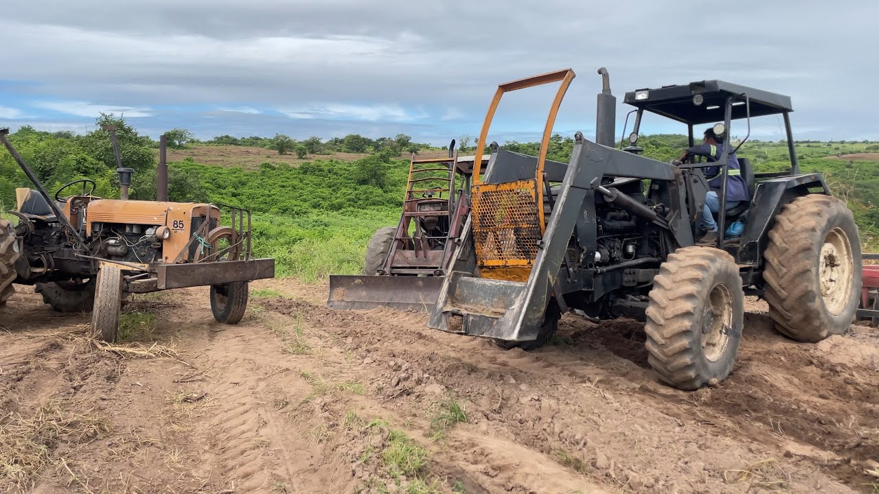4 tratores brutos trabalhando no plantio do capim em dona Inês pb