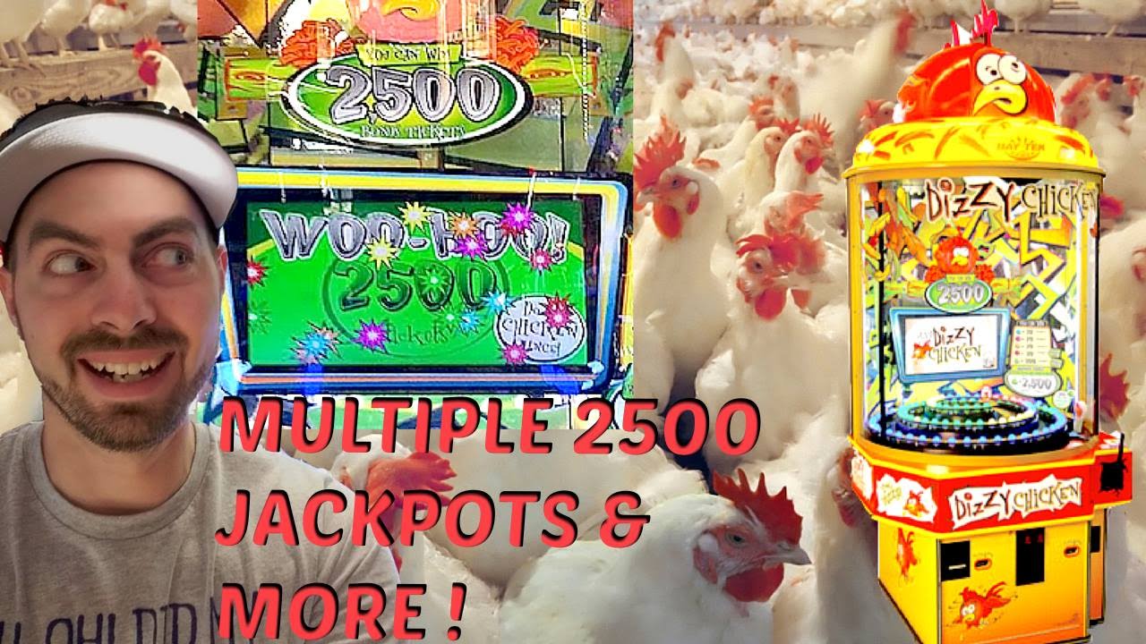 Dizzy Chicken: Сколько джекпотов по 2500 билетов я могу выиграть? Arcadejackpotpro