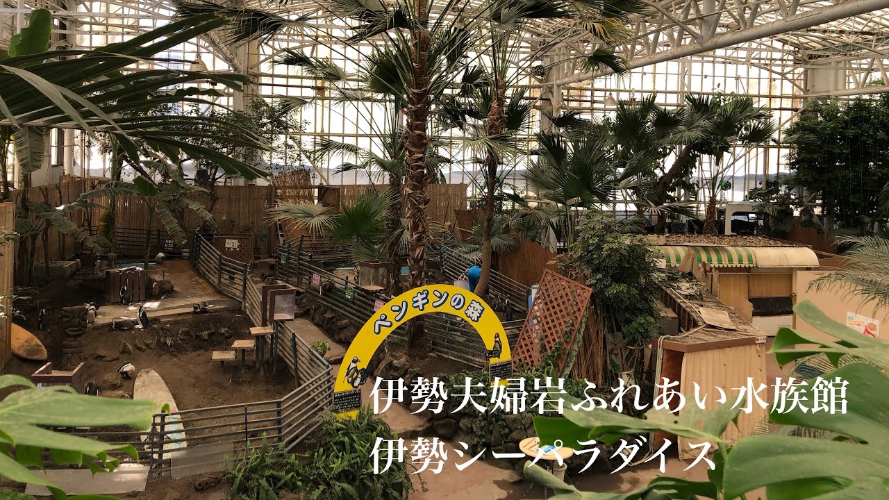 【水族館巡り】伊勢シーパラダイスPart1