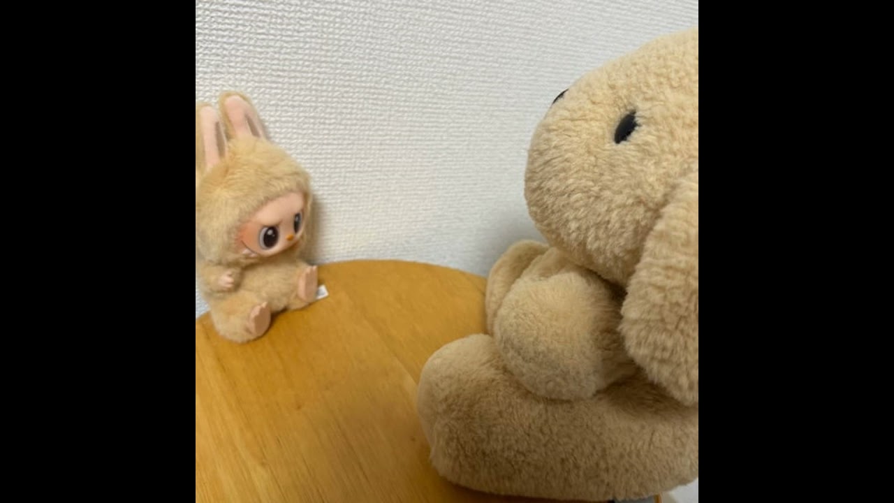 #08 きらめくイルミネーション。モフモフに誘われて…