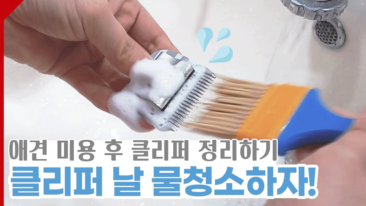 클리퍼 날 분해부터 물청소까지! 간단하게 익혀봐요! - 애견 미용 꿀팁!
