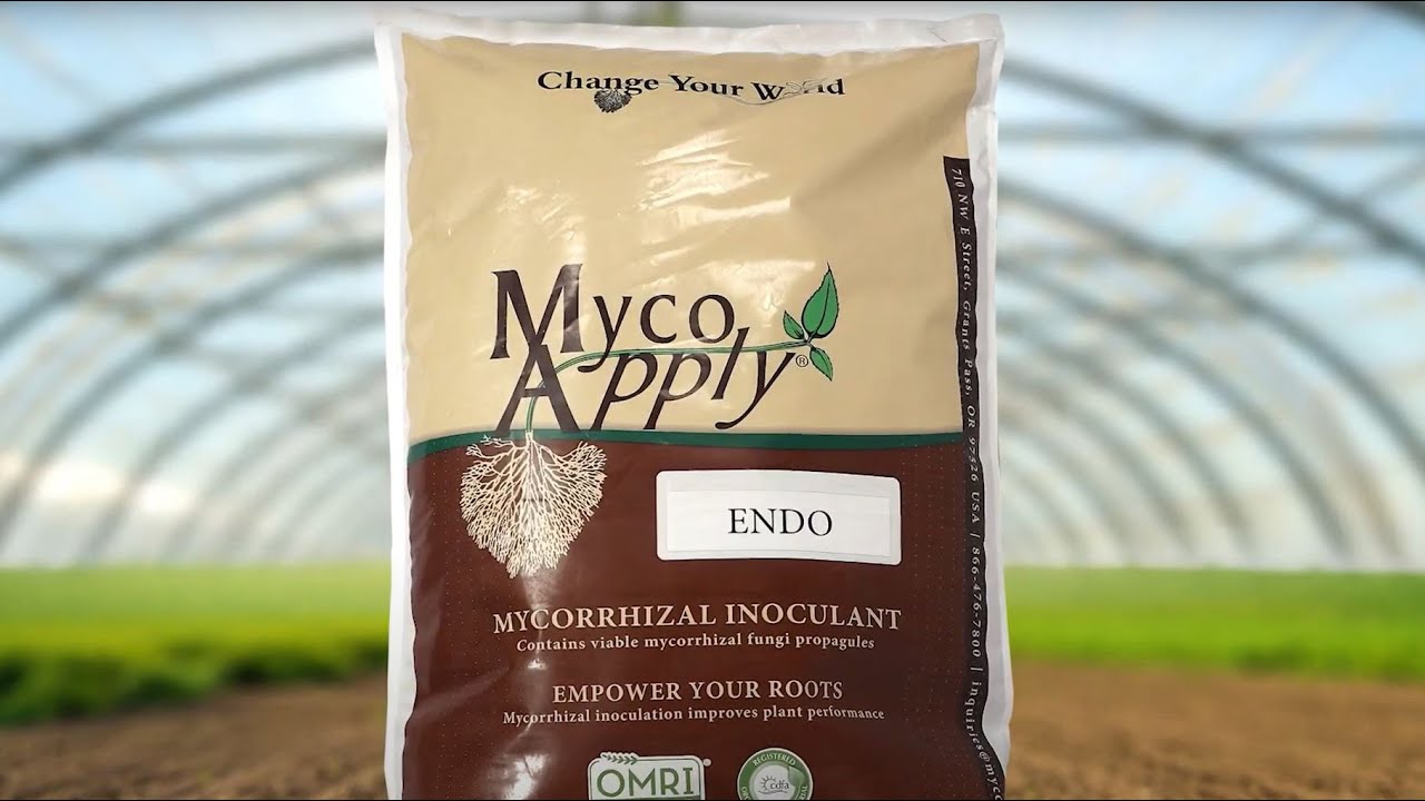 MycoApply Endo