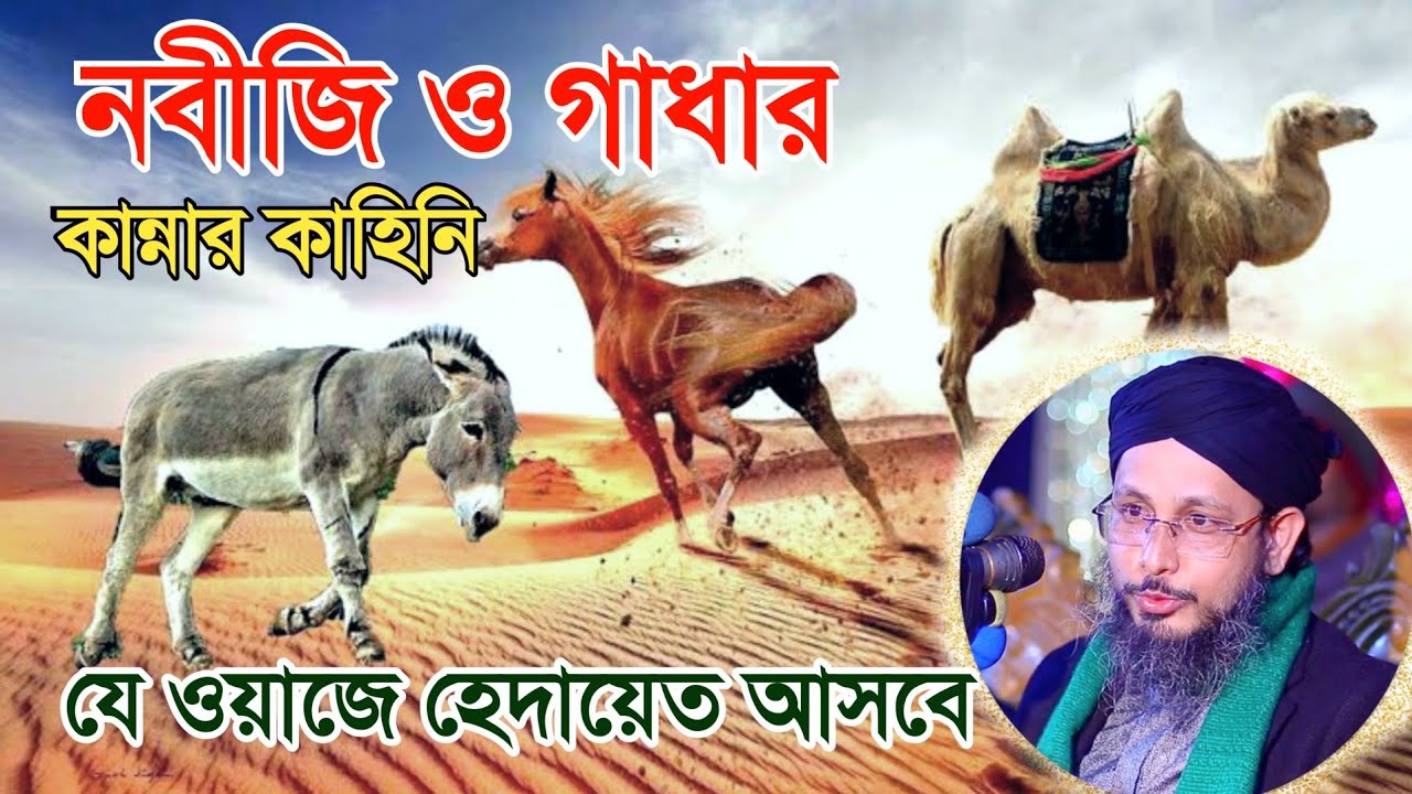 ওয়াজে হেদায়েত নতুন ওয়াজ | মুফতি মোস্তাক আহমদ আল ওয়ায়েসী | mostak ahmed al kadri waz 2024
