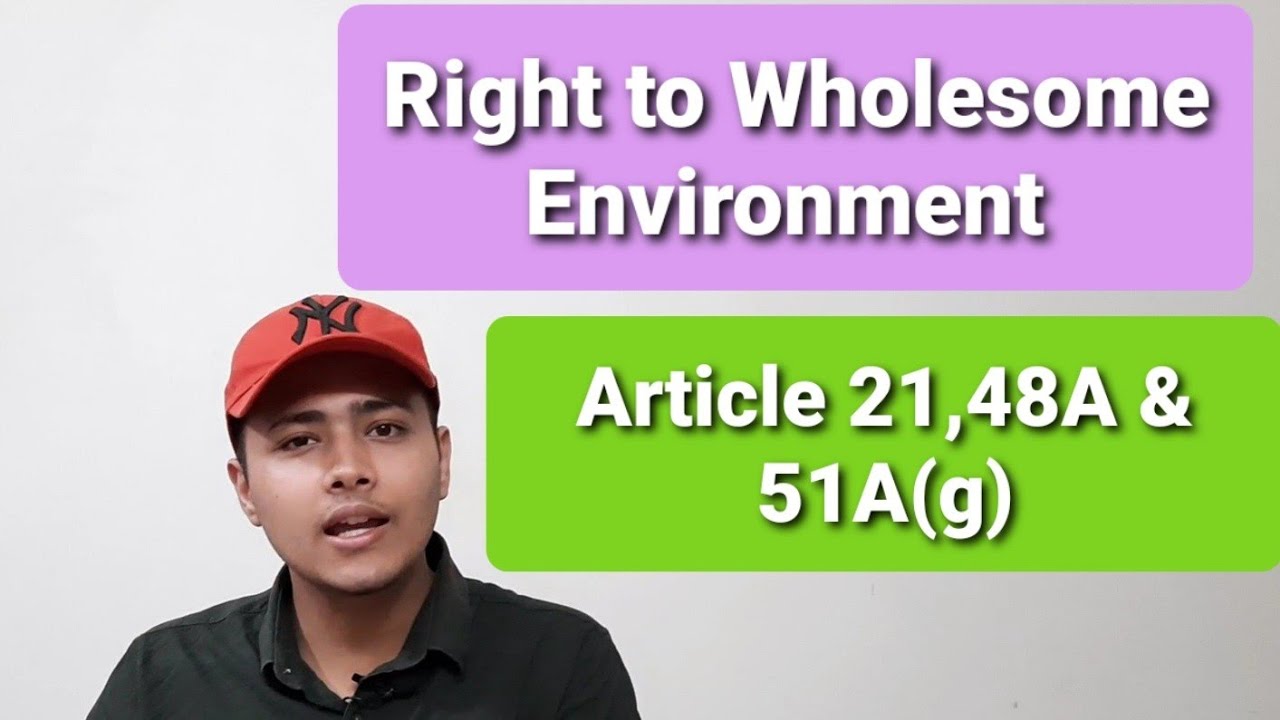 Right to Wholesome Environment |  Relevant provisions: Article 21, 48A & 51A(g) | Constitution