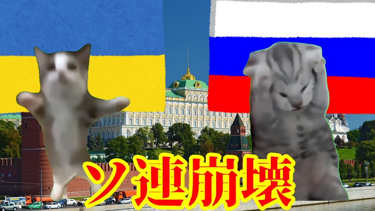 【猫ミーム】波乱万丈のウクライナ歴史 #猫ミーム #猫マニ #ウクライナ #ロシア