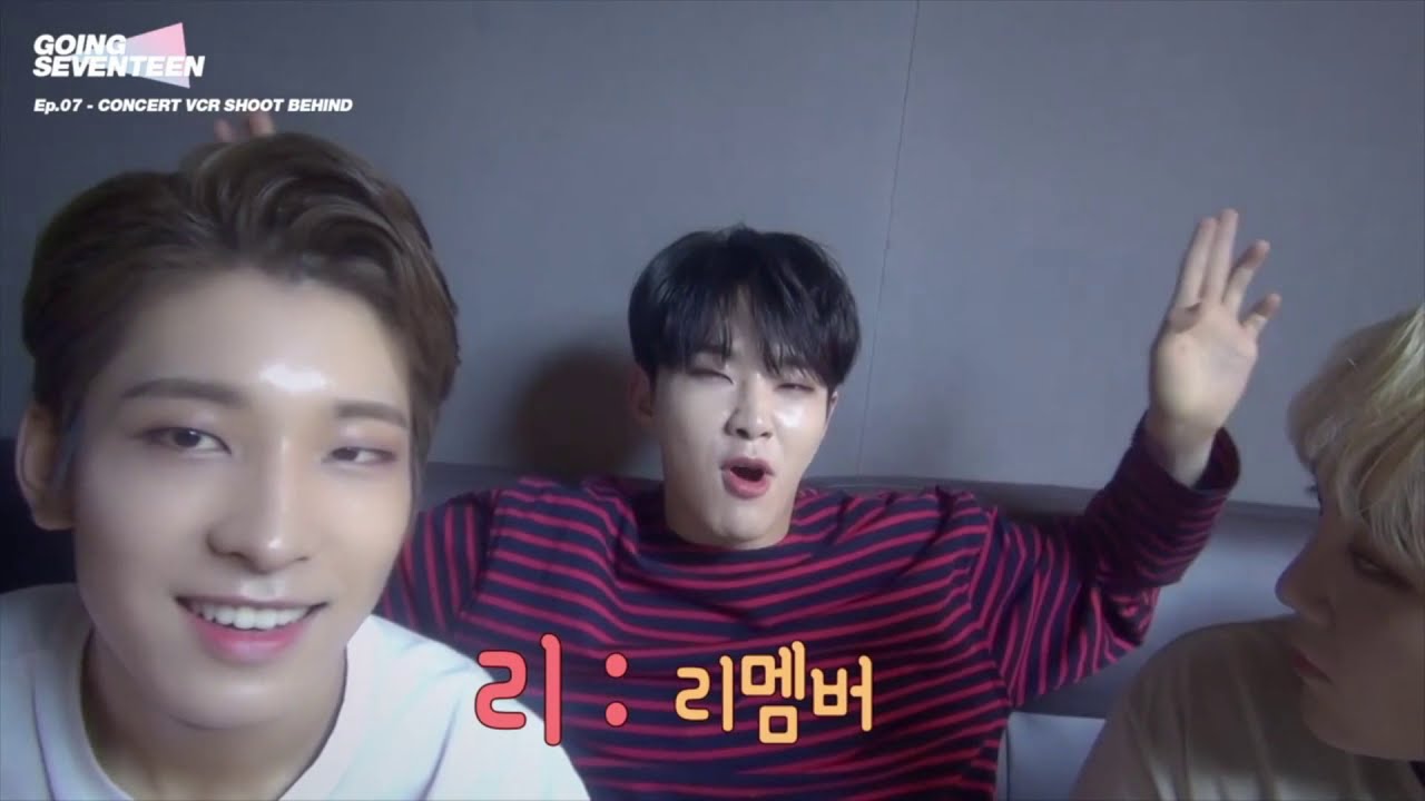 [세븐틴/seventeen] 귀여움=호시/호시모음 #2