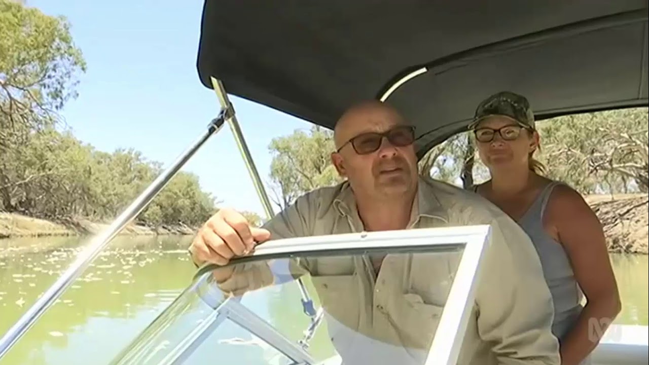 A million fish dead after blue-green algae bloom at Menindee Lakes