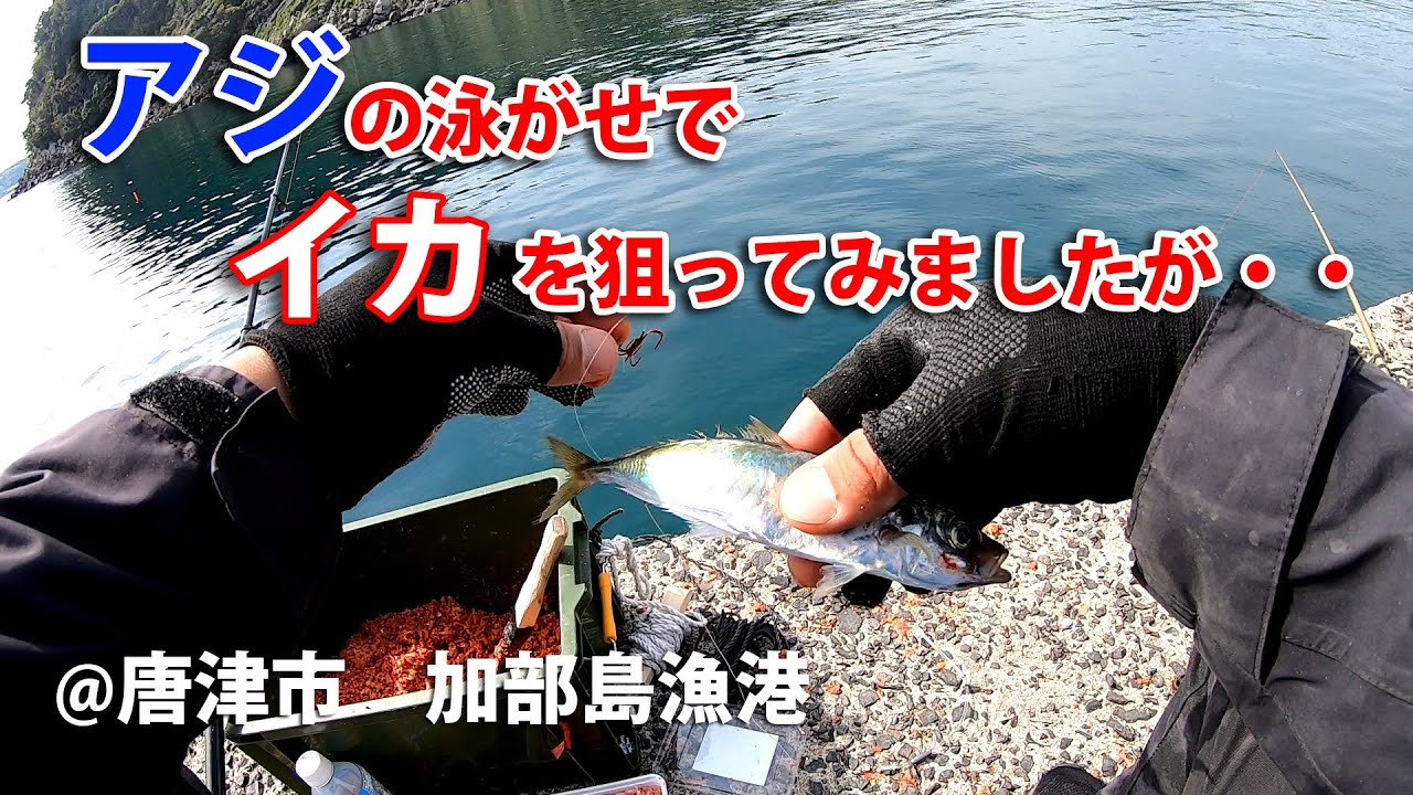 2022年 4月中旬　唐津市　加部島漁港釣行