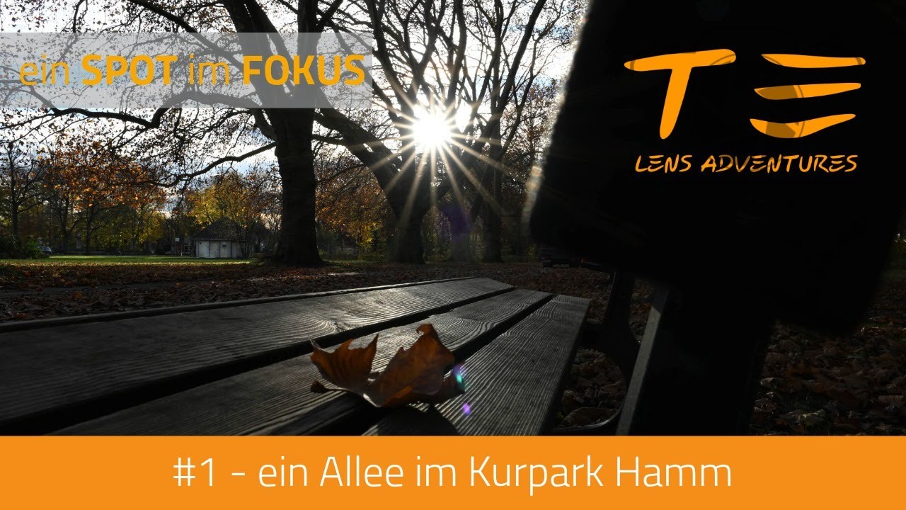 #01 - eine Allee im Kurpark Hamm - e1n SPOT im FOKUS