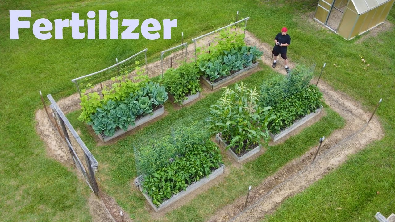 GARDEN Super Growth TOMATO Fertilizer healthy fresh vegetables