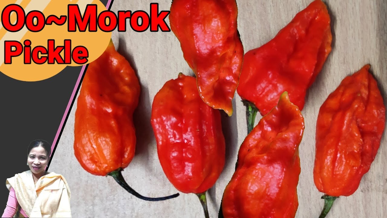 Oo morok pickle | Chili pickle | How to prepare chili pickle | Bhut jolokia pickle | Naga chili