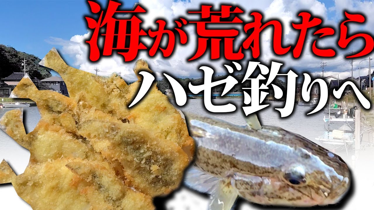 【餌釣り】海が荒れたらハゼ釣りへ