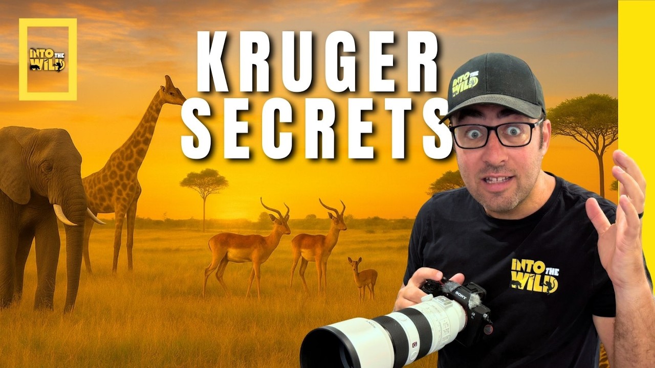 Kruger Park Secrets Revealed | 40 Years of Safari Experience