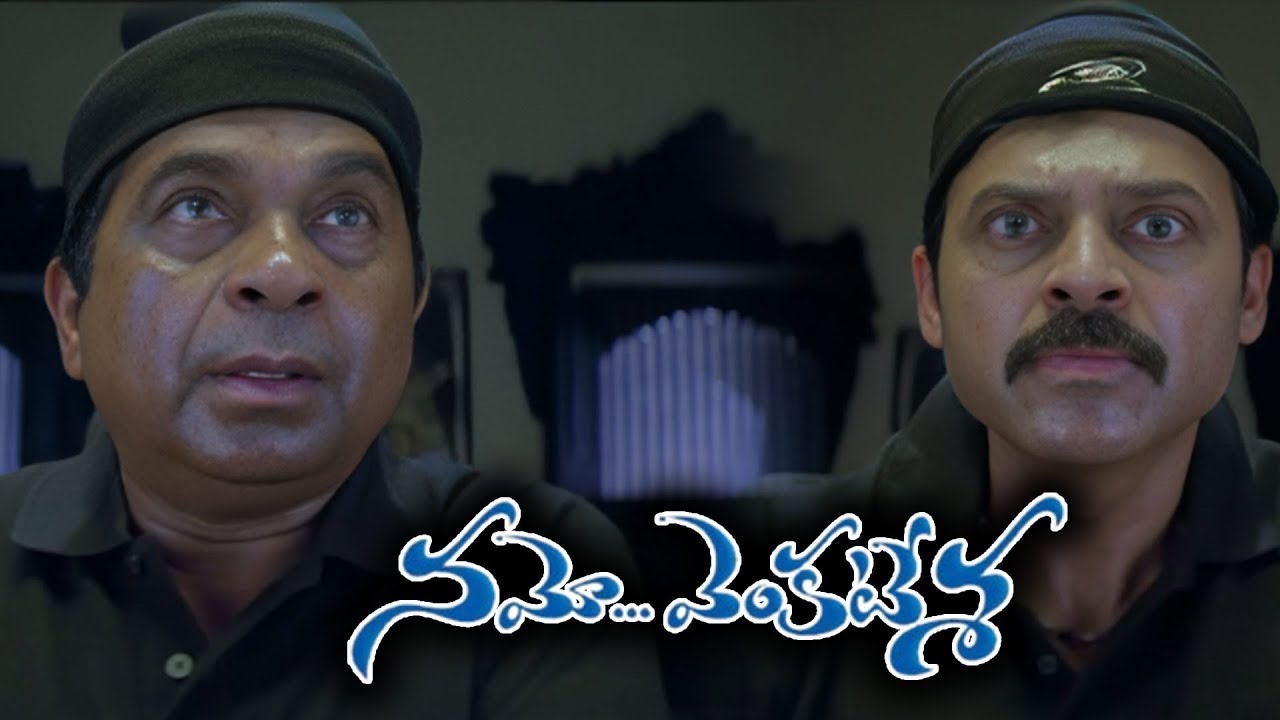 Namo Venkatesa Movie Brahmanandam Ultimate Comedy | Namo venkatesa Movie Non Stop Comedy | IDream