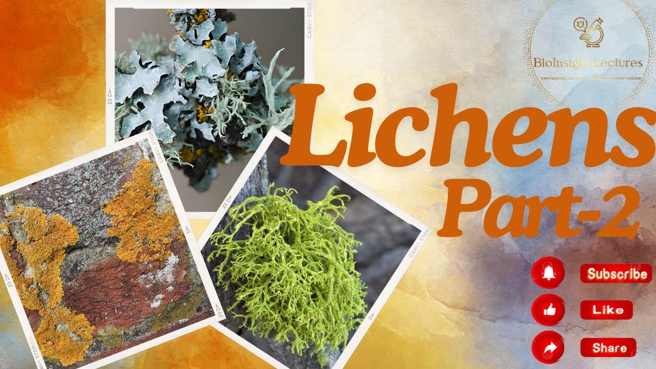 Lichens: Types, Ecological, and Economic Importance  Part 2
