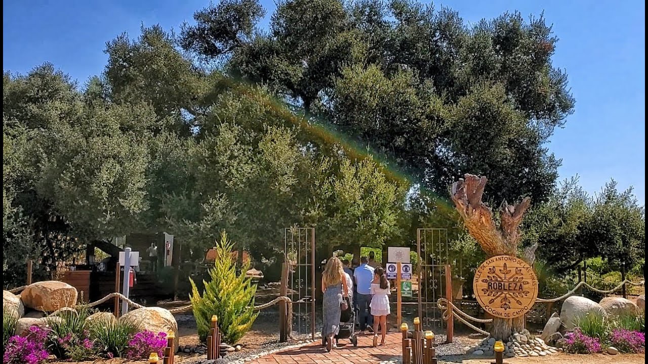 EL ÁRBOL QUE SE CONVIRTIÓ EN RESTAURANTE