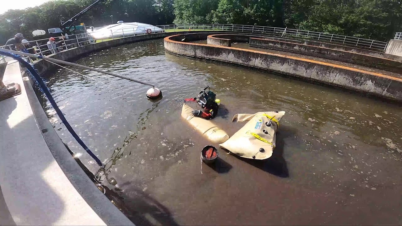 Diving in POOP!!! (Part 1)