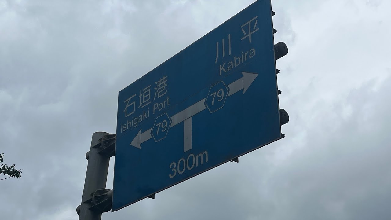 【石垣島・干潮を歩くだけ100分🦶】〜川平湾へ続く海岸・１本マングローブ〜※音量注意