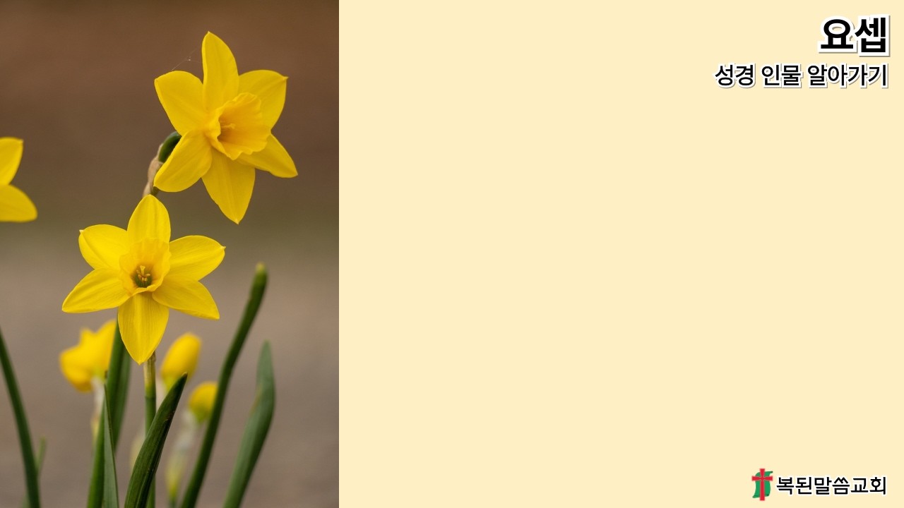 요셉(5) / 성경 인물 알아가기