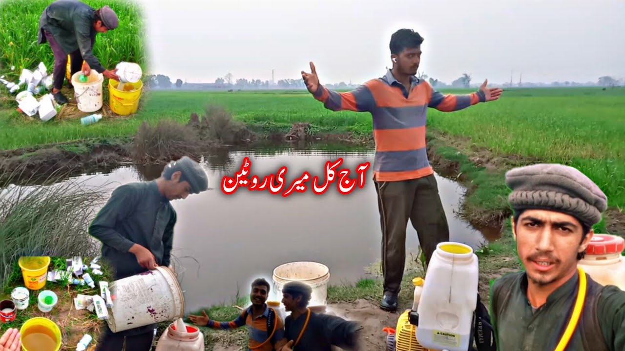 Aaj Kal Gaon Mein Meri Routine 🥰 Very HardWork Vlog in village 🏕