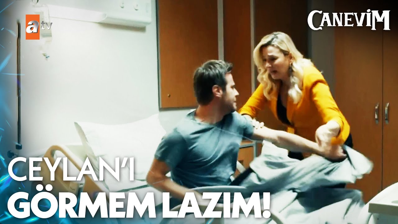 Taylan sinir krizi ge&ccedil;iriyor - Canevim 3. B&ouml;l&uuml;m