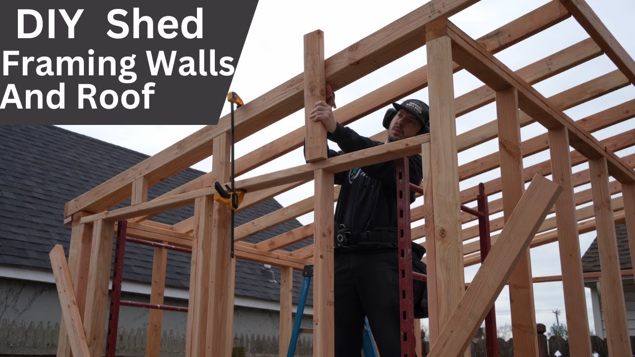 Shed Walls and Roof Framing