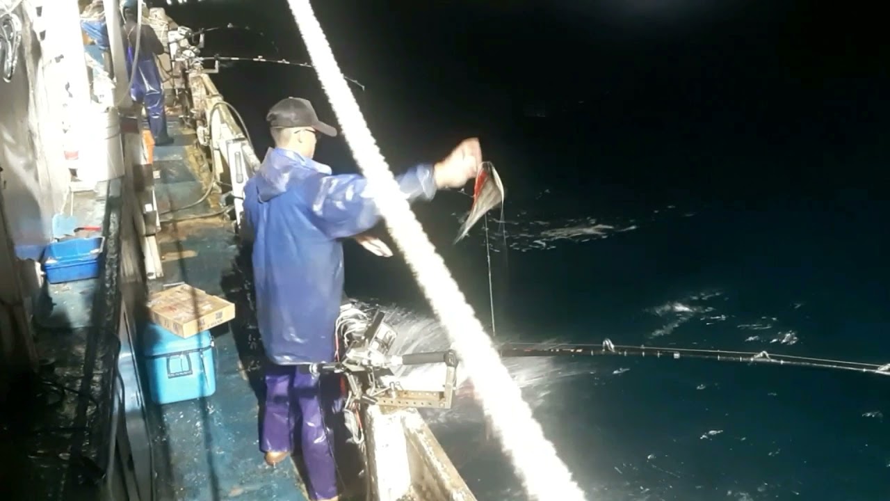 船釣白帶魚 富貴角 磺港瀨 魚獲大約300斤 四個冰箱滿還過桶(下)