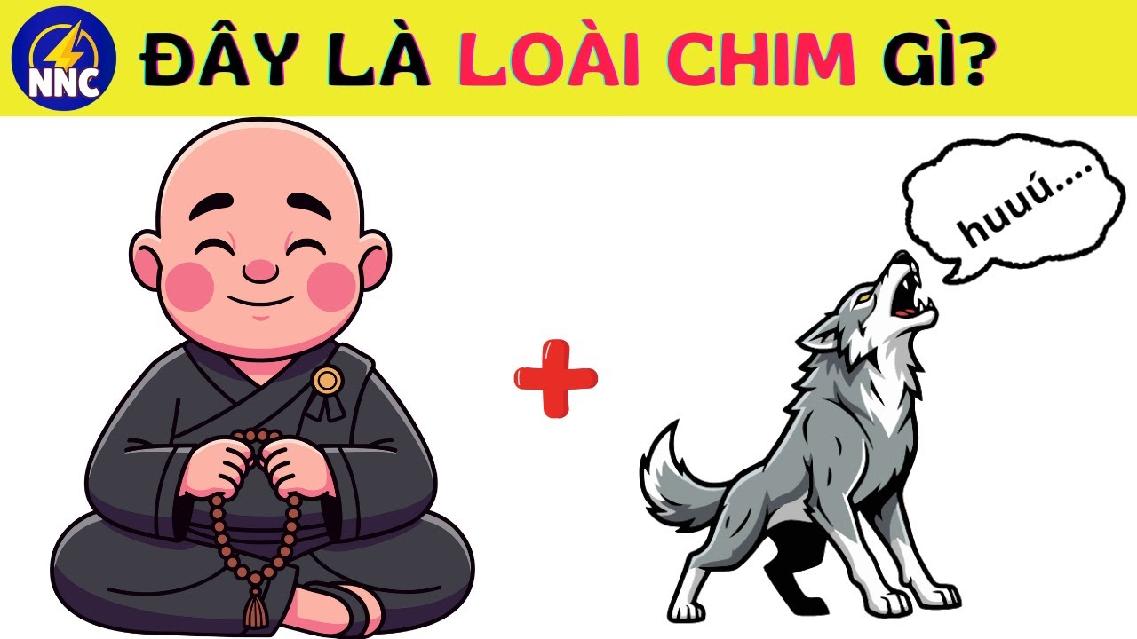 Đuổi Hình Bắt Chữ 🐦 Đây Là Loài Chim Gì? | 30 Câu – 10 Giây | Nhanh Như Chớp