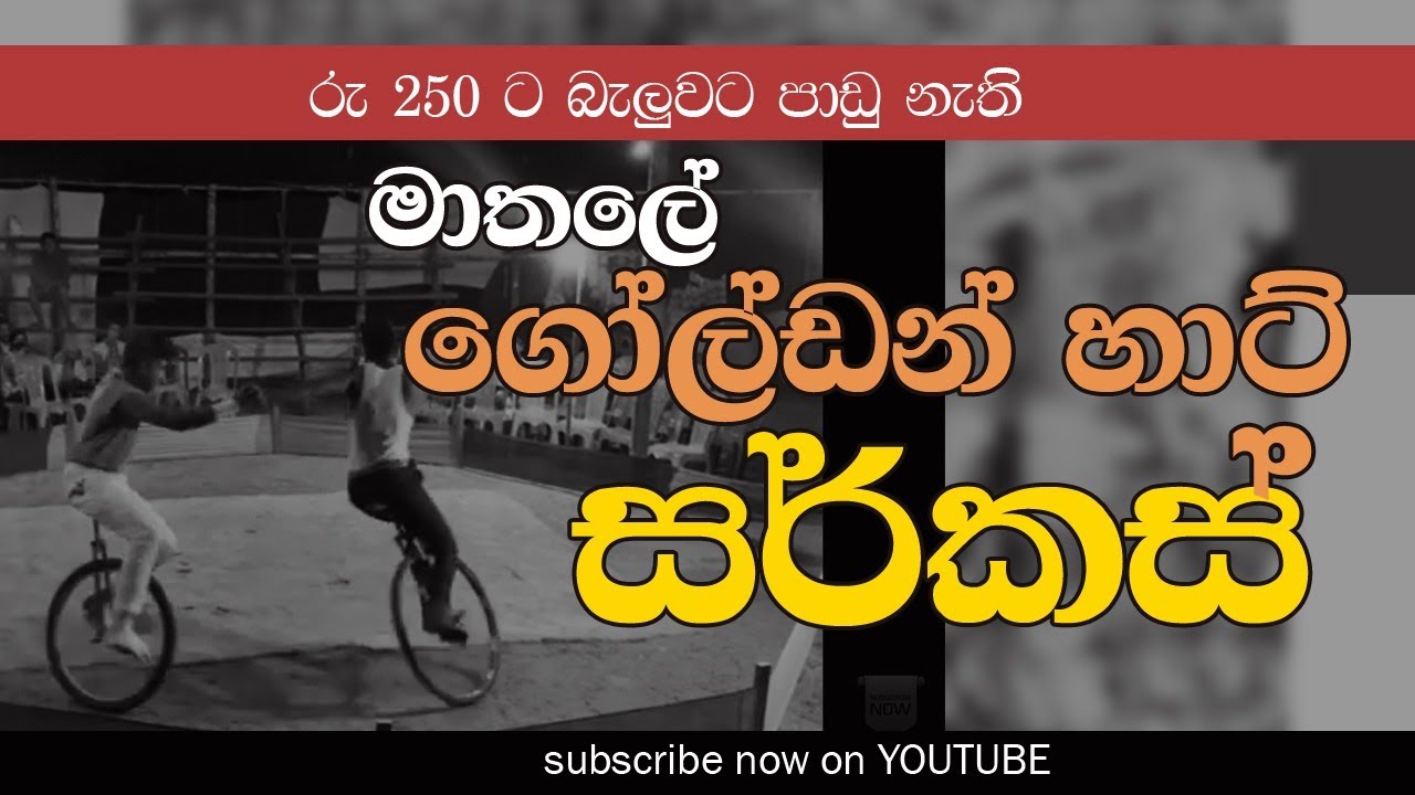 Step Right up and Experience the Thrills of the Circus Spectacular I මාතලේ Golden Heart Circus