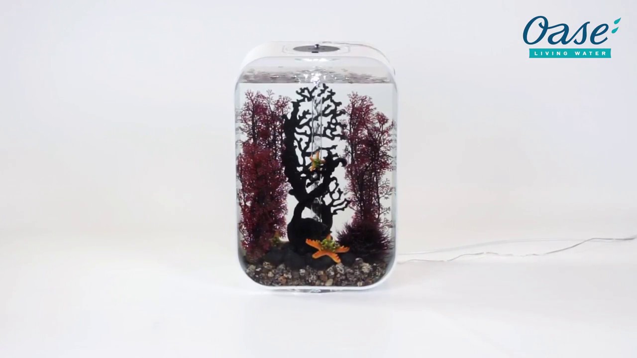 Oase biOrb 'Life' Aquarium Set-up