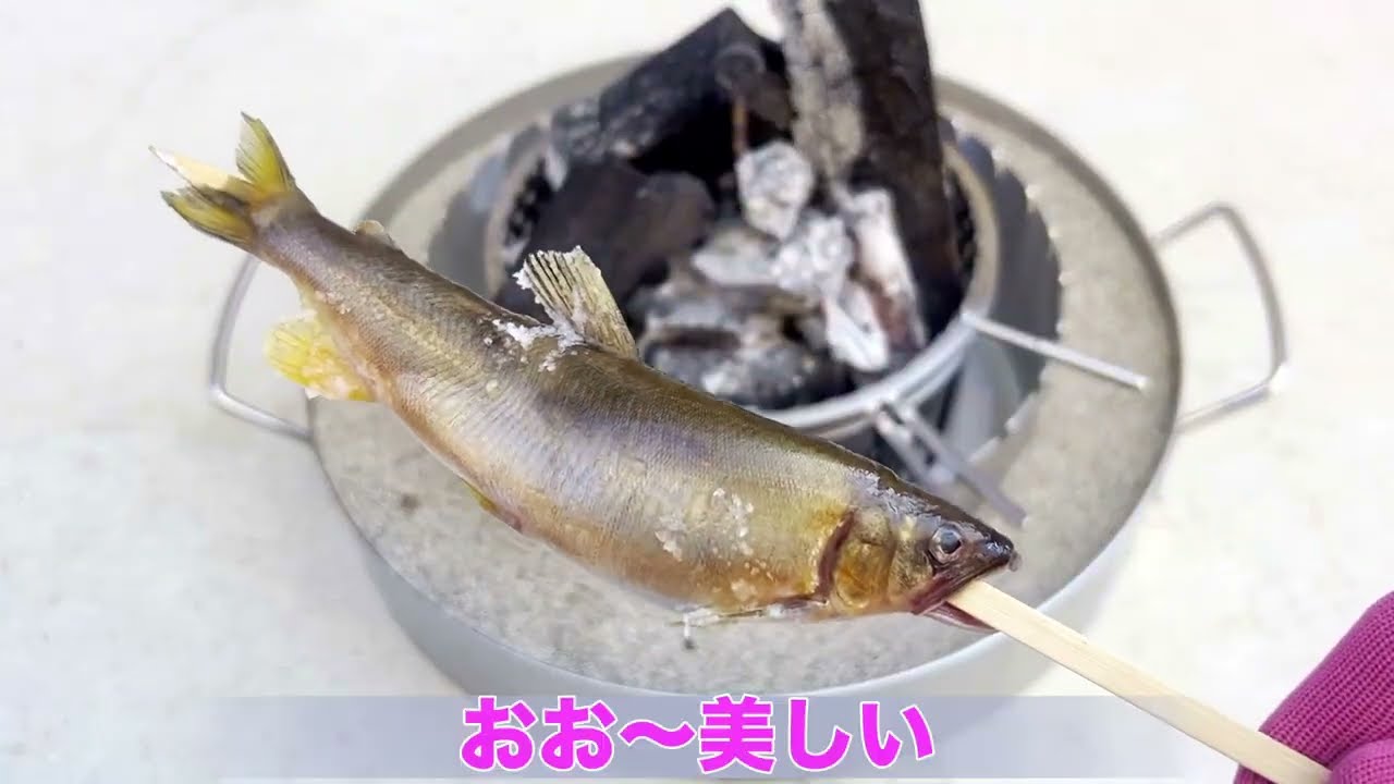 新 アウトドアグッズ!?を渡されました！！いったいどう使うのか？？ヌッセルもおどろいた！！ちょっとみていって！