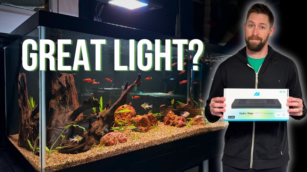 NEW Hydra Edge 44 HD Freshwater Light Review | Best LED for Planted Aquariums?