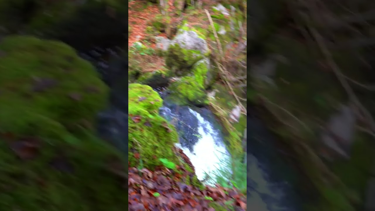 triberg waterfalls #germany #europe europe